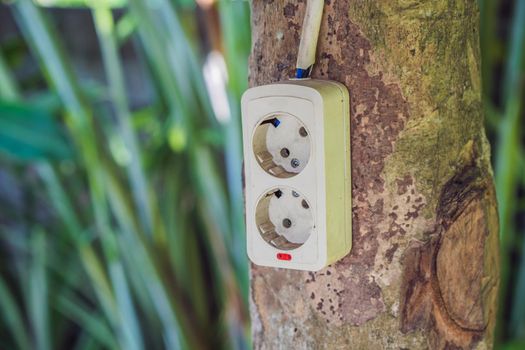 Green nature energy concept, electric socket on tree. Digital nomads concept.