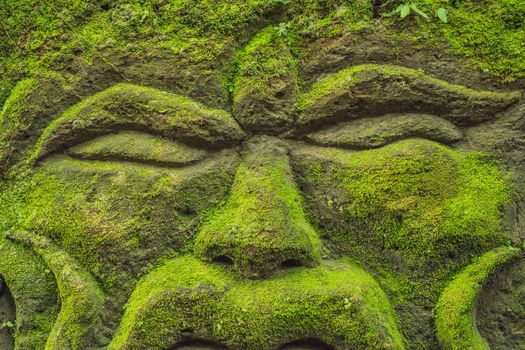 Balinese moss Background traveling to Bali concept.