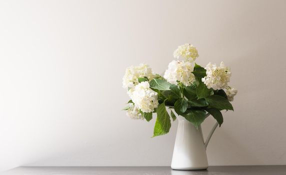 White hydrangeas in jug on black table against white wall (selective focus)