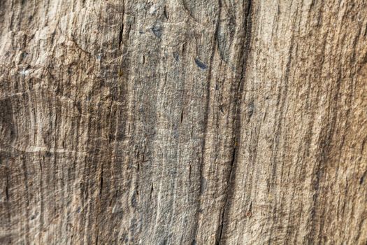 texture of a rock of a gray brown stone