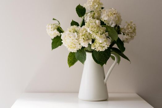 White hydrangeas in jug on table against white wall (selective focus)