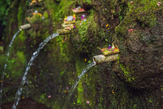 Daily offerings - canang sari is very important in Bali, Indonesia.