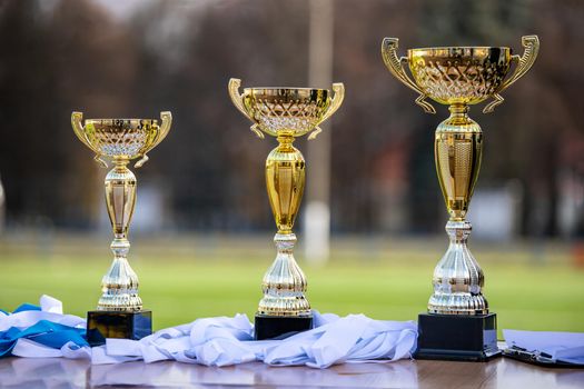 three different types of golden trophies on a blurry background of a football field