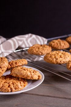 freshly baked warm oatmeal cookies on a cooling stand and saucer on a dark background.