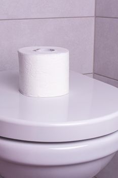 a roll of toilet paper on the toilet bowl. The concept of the supply of toilet paper.