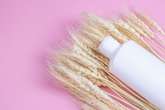 Blank cosmetics container and wheat ears on pink background. Cream or shampoo bottle mockup. Organic beauty product.