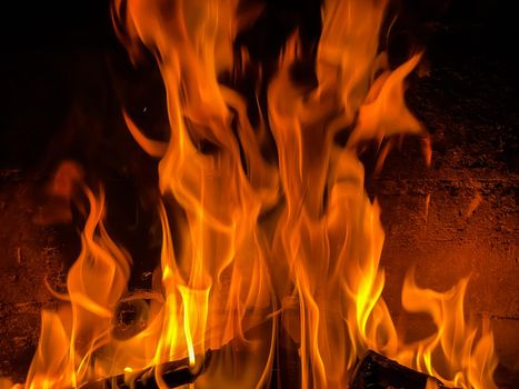 Flames of fire on a black background. Burning wood in the fireplace