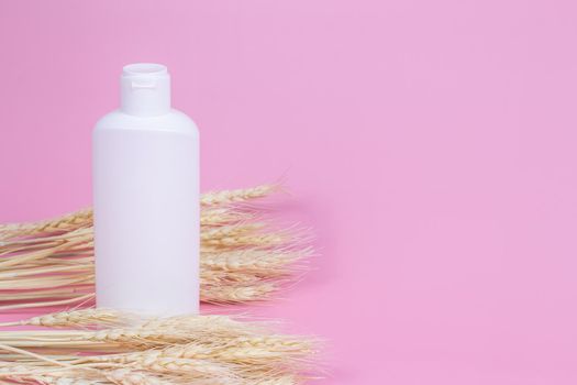 Blank cosmetics container and wheat ears on pink background. Cream or shampoo bottle mockup. Organic beauty product.