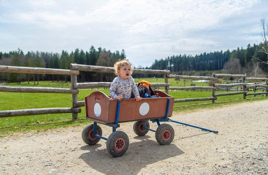 The child is sitting on a cart. Selective focus. Nature.