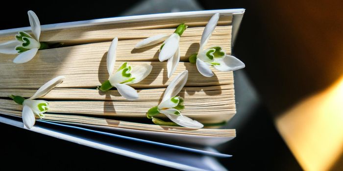 Snowdrop flowers on an old book. Early First spring flowers. Hello Spring. Still life with a book. Galanthus among pages of book. Concept of changing seasons, read fairy tales, plant care