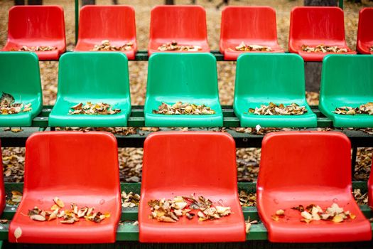 Empty sports grandstand in the leaves in the fall. Yellow leaves lie on a seat of a tribune. Plastic seats required are covered with tree foliage in the fall.