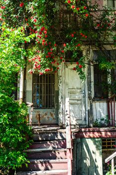 Old house covered with blooming red roses in Kala, the oldest part of the capital city of Georgia