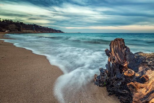 Seascape, Superb long exposure seascape with a log at the Black Sea coast, Bulgaria