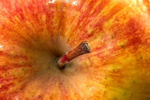 Fresh apple as a background for designers. Close up. Top view