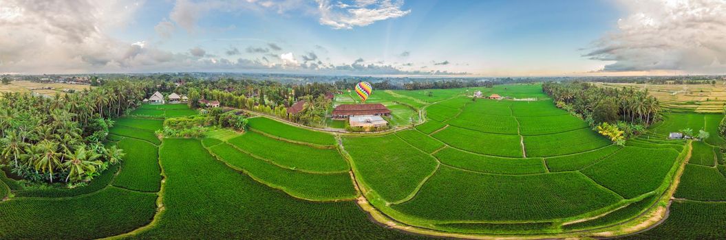 hot air balloon over the green paddy field. Composition of nature and blue sky background. Travel concept.