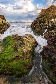 Beautiful seascape with a close view of stones with moss and water splash between them. Vertical view