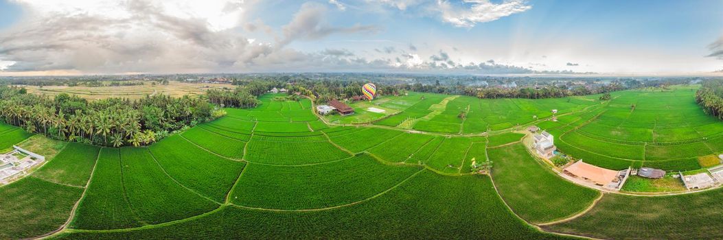 hot air balloon over the green paddy field. Composition of nature and blue sky background. Travel concept.