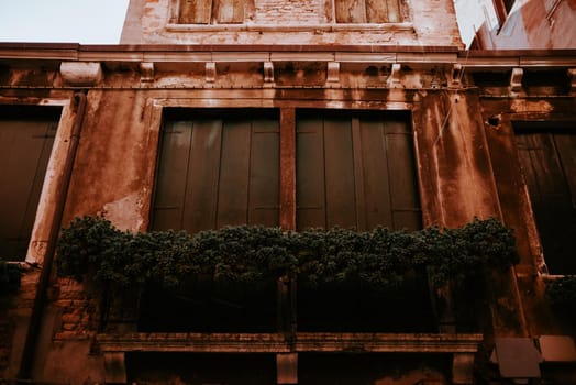 Closed brown wooden shutters in an old shabby orange building. Green dense flowerpots on the windowsill in the house. Vintage architectural masterpieces in Venice.