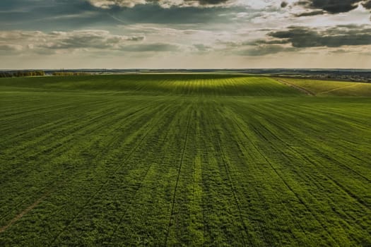 green field from the sky. aerial top view from drone
