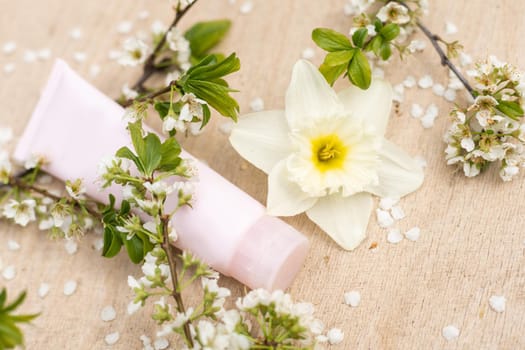 Blank white cosmetics tube and spring flowering tree branch with white flowers on pastel background. Front view.