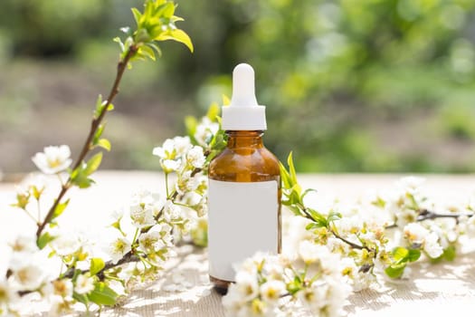 Blank white cosmetics tube and spring flowering tree branch with white flowers on pastel background. Front view.