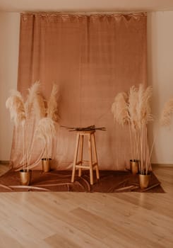 Scandinavian interior of photozone constant pink warm colors with fabric curtain. high bar wooden chair. on sides vases dry flowers tall long grass reeds flowering. boho style minimalism hippie