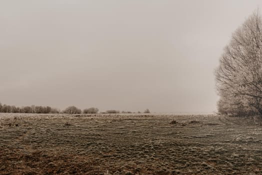 an empty green field in the grass covered with hoarfrost. earlier autumn winter morning. Nature in fog, gloomy cold weather. temperature drop Ukraine Europe