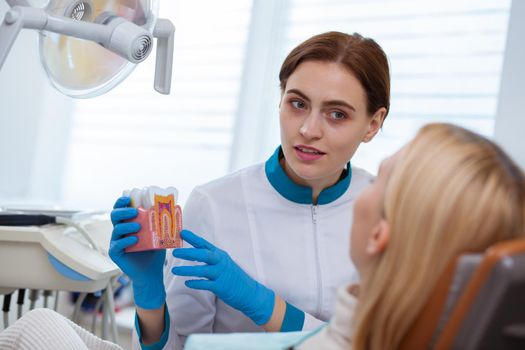 Cheerful female dentist smiling, talking to her patient, while holding tooth mold. Beautiful dentist enjoying working with her client, copy space. Communication, medical service concept