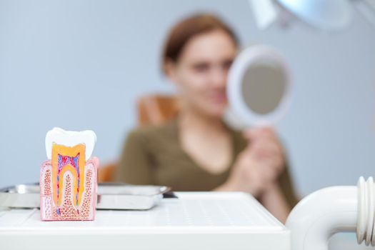 Selective focus on tooth model on the foreground, woman examining her teeth in the mirror on the background. Female patient checking out her teeth after medical treatment, copy space. Dentistry