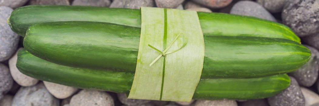 BANNER, LONG FORMAT Eco-friendly product packaging concept. Cucumber wrapped in a banana leaf, as an alternative to a plastic bag. Zero waste concept. Alternative packaging.