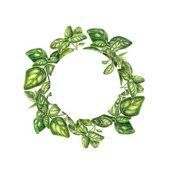 The frame is round with basil on a white background. Watercolor frame for inscriptions. The wreath of fresh Provencal herbs is isolated. The illustration is suitable for design, menus, posters, label