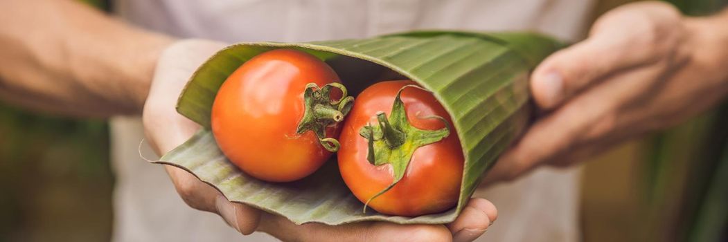 BANNER, LONG FORMAT Eco-friendly product packaging concept. Tomatoes wrapped in a banana leaf, as an alternative to a plastic bag. Zero waste concept. Alternative packaging.