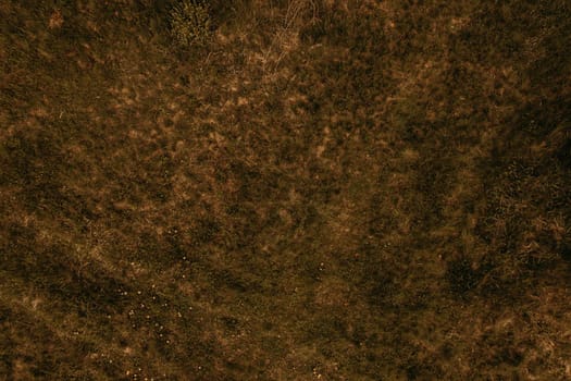 Texture wallpaper mockup template empty blank. Dry grass texture aerial view. Natural background field dry orange grass drone view above. orange autumn nature shoot wallpaper. Abstract place for text