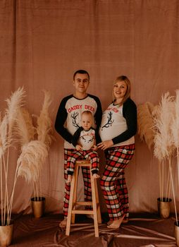 family photo session in studio on beige background with flowers dry reeds. clothes for baby child.pregnant woman in pajamas.Christmas morning.New Year's interior.Valentine's day celebration
