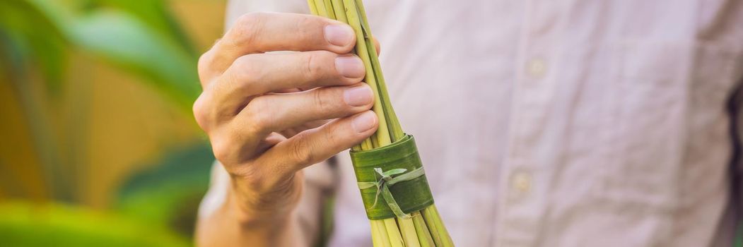 BANNER, LONG FORMAT Eco-friendly product packaging concept. Lemongrass wrapped in a banana leaf, as an alternative to a plastic bag. Zero waste concept. Alternative packaging.