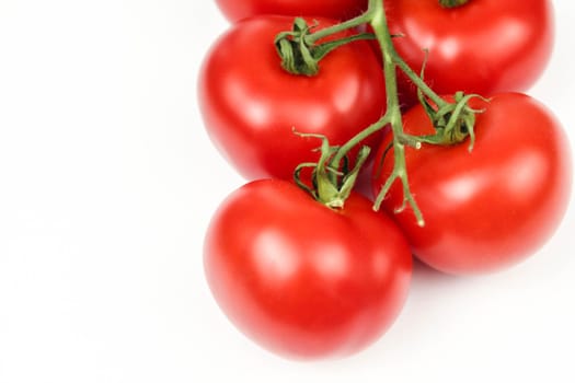 Red tomatoes on white background