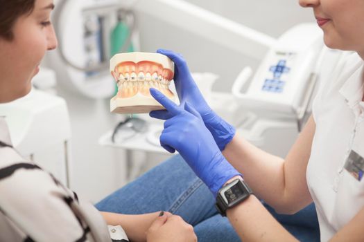 Cropped shot of professional dentist showing her patient dentures with braces