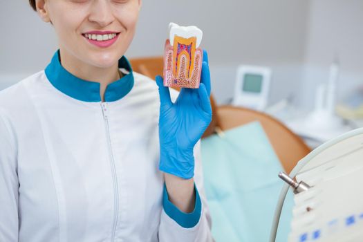 Cropped shot of a cheerful female dentist wearing uniform and rubber medical gloves smiling, holding tooth model. Happy professional dentist posing with tooth mold, copy space. Teeth and gums care