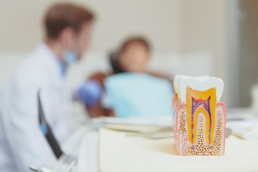 Selective focus on a tooth model, dentist talking to his young patient on the background. Young boy visiting dentist, copy space