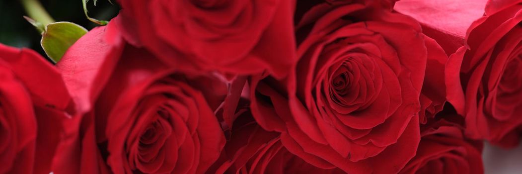 Buds of red roses close-up, beautiful fresh flowers for the holiday. Romantic gift, floristry. Flower shop