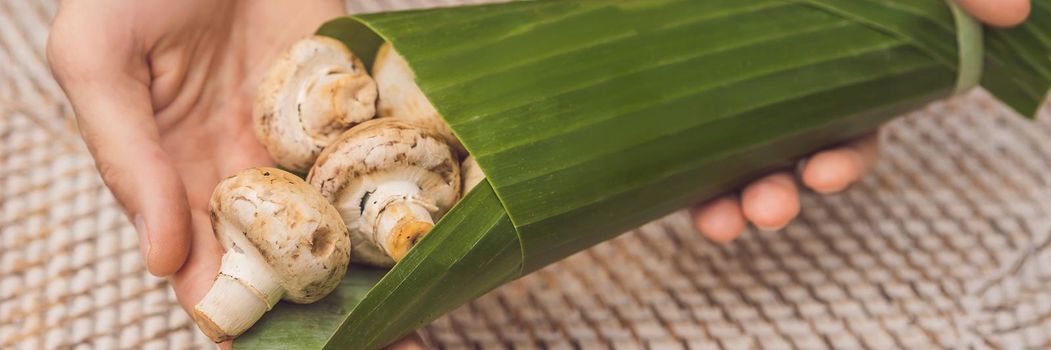 BANNER, LONG FORMAT Eco-friendly product packaging concept. Mushrooms wrapped in a banana leaf, as an alternative to a plastic bag. Zero waste concept. Alternative packaging.