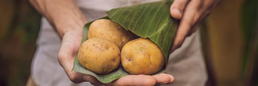 BANNER, LONG FORMAT Eco-friendly product packaging concept. Potato wrapped in a banana leaf, as an alternative to a plastic bag. Zero waste concept. Alternative packaging.