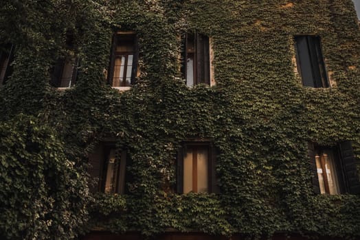 The building is completely covered with creeping green plants. Architecture and landmarks of Venice.