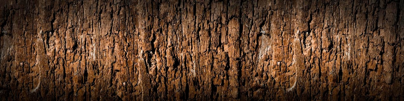 Texture of old wood with cracks. Old, cracked wood background, high resolution