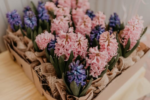 multicolored pink blue purple lavender spring flowers in craft paper pots on table in gift box. surprise Present for holiday on March 8 International Women's Day. mother day. cute buds. bouquet.