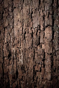 Texture of old wood with cracks. Old, cracked wood background, high resolution