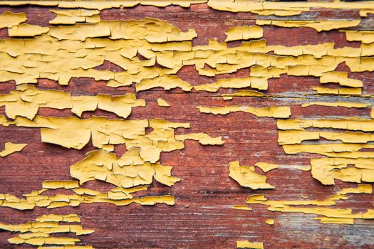 Old yellow wood floor Old wood flooring with natural motifs or old wood flooring. Grunge surface with smooth wooden flooring. Top view of vintage wood