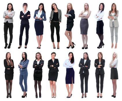 in full growth.collage of a group of successful young business women. isolated on white background