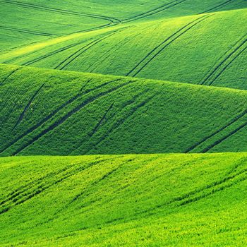 Beautiful spring landscape. Waves on the field - Moravian Tuscany Czech Republic.