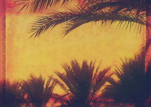 Grunge tropical background with coconut palm trees. Image in vintage style